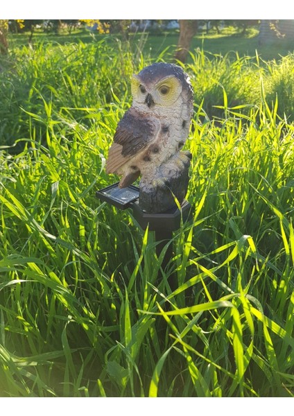 Baykuş Solar Güneş Enerjili LED Işık Bahçe Teras Balkon Ağaç Lambası Aydınlatması Su Geçirmez Kahve fiyatları