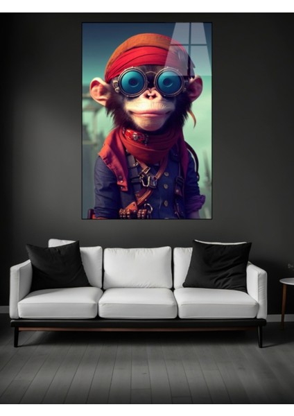 Gezgin Maymun Cam Tablosu fiyatları