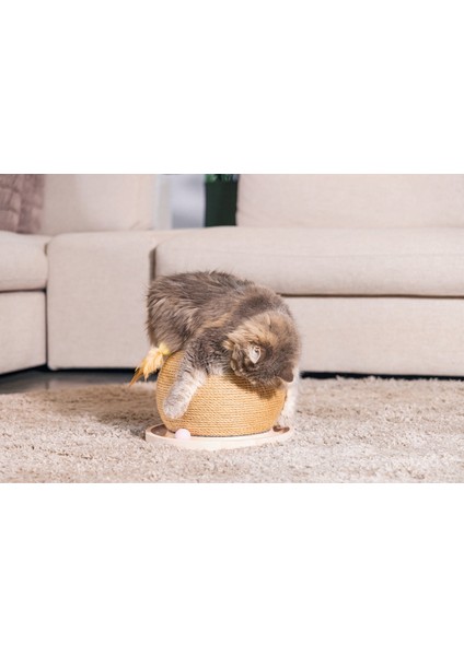 Yzlal Beeztees Dbl Kedi Tırmalama ve Oyuncağı, 29,5X29,5X22CM fiyatları