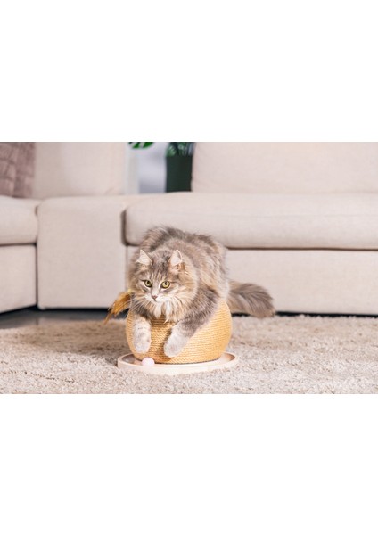 Yzlal Beeztees Dbl Kedi Tırmalama ve Oyuncağı, 29,5X29,5X22CM modelleri