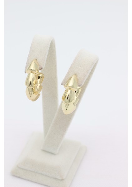 Stil Incisi/xupıng Jewelry Lujo Model Küpe