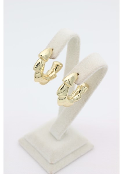 Stil Incisi/xupıng Jewelry Lujo Model Küpe modelleri