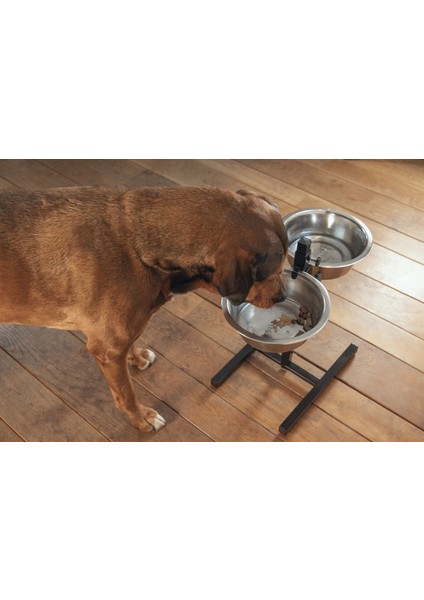 Nrtmsa Beeztees Köpek Ikili Mama Su Kabı, Ayaklı, Paslamaz Çelik, 28CM, 2x4,5l modelleri