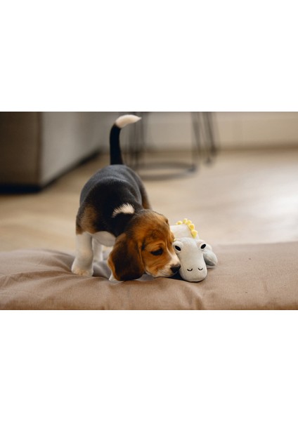 Nrtmsa Beeztees Yavru Köpek Oyuncağı, Dinazor, Peluş, Yeşil, 19X14,5X9CM fırsatları