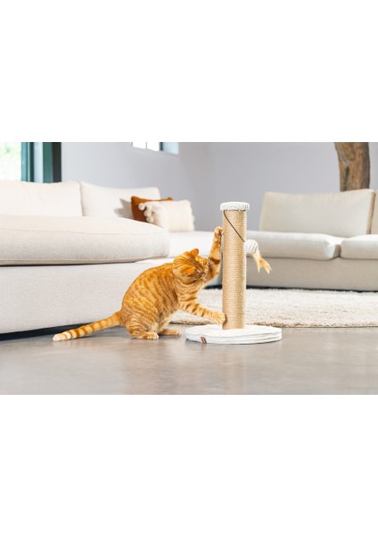 Nrtmsa Beeztees Dbl Kedi Tırmalama ve Oyuncağı, Açık Gri, 35X35X50CM modelleri