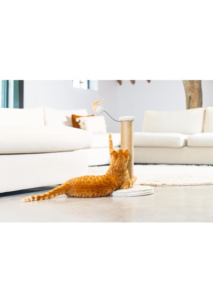 Nrtmsa Beeztees Dbl Kedi Tırmalama ve Oyuncağı, Açık Gri, 35X35X50CM fırsatları