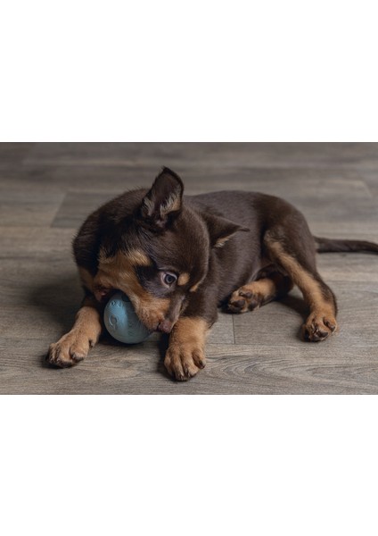 Nrtmsa Beeztees Yavru Köpek Oyuncağı, Top, Kauçuk, Yeşil, 6cm modelleri