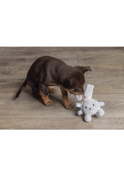 Nrtmsa Beeztees Yavru Köpek Oyuncağı, Tavşan, Peluş, Gri, 15X9X4CM fiyatları