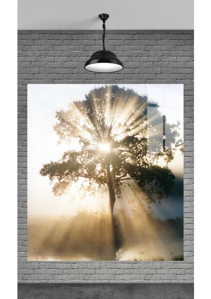 Muhteşem Ağaç ve Güneş Temperli Cam Üzerine Tablo Sevgilinize Yılbaşı Hediye