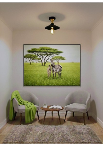 Olivya Tekli Plafonyer Avize