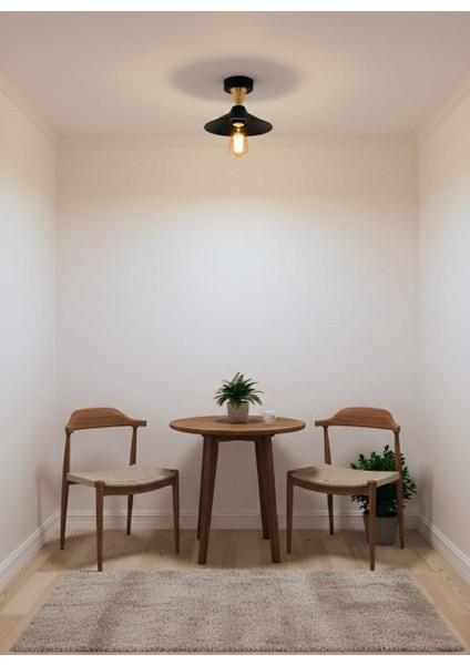 Olivya Tekli Plafonyer Avize fiyatları