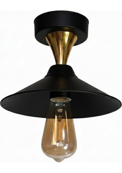 Olivya Tekli Plafonyer Avize modelleri