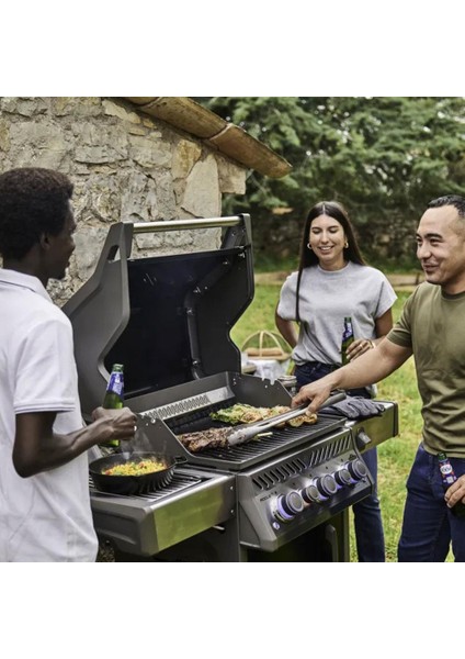 Rogue Pro S 425 Rsıb Gazlı Mangal modelleri