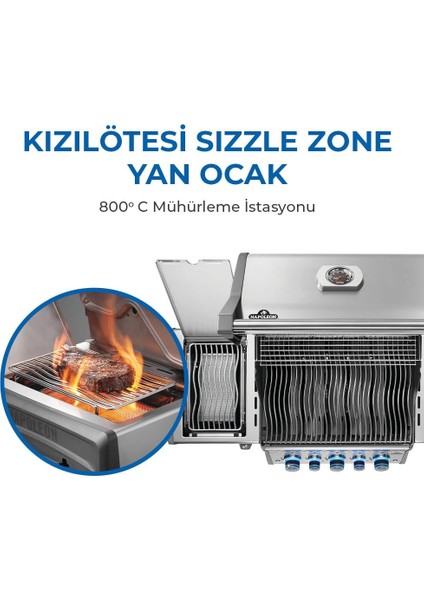 Rogue Pro S 425 Rsıb Gazlı Mangal indirimleri