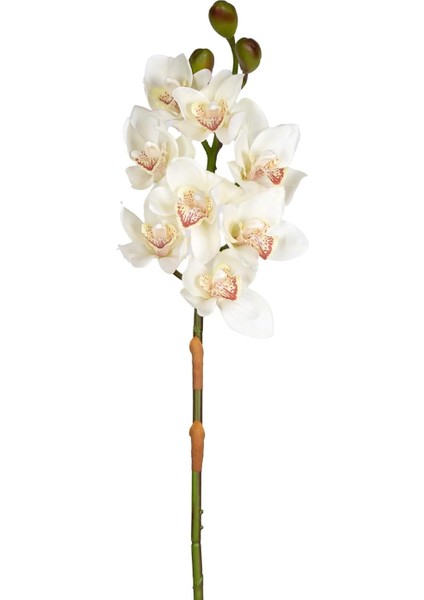 Orkide Gerçek Dokulu Beyaz 75 Cm.