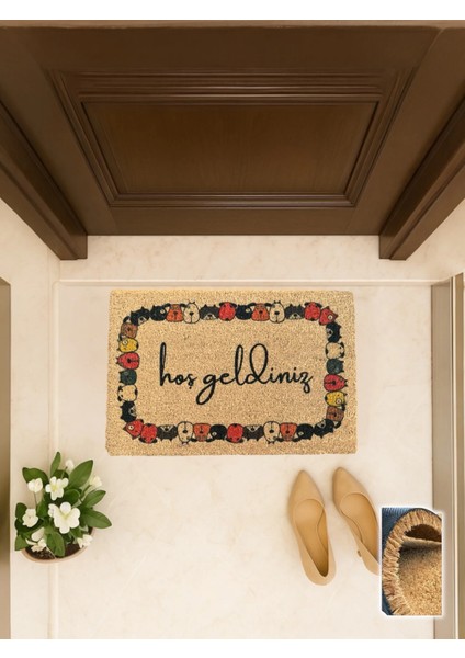 Perros Lindos 40X60 cm Coco Kapı Önü Paspası