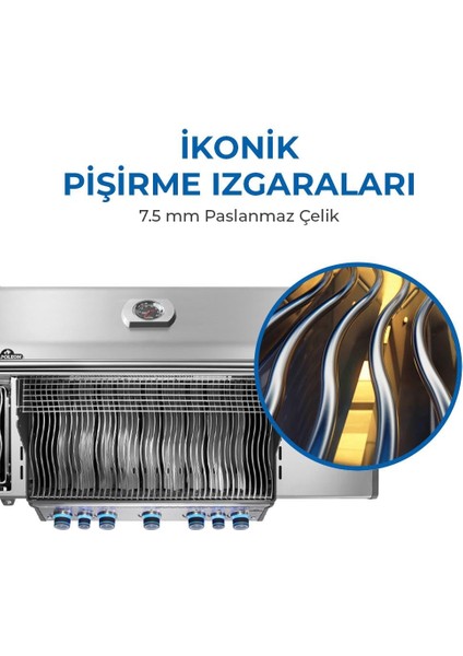 Rogue Pro S 625 Rsıb Gazlı Mangal