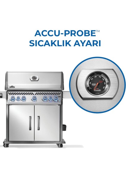 Rogue Pro S 625 Rsıb Gazlı Mangal