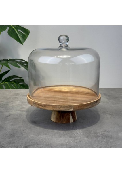 Akasya Standlı Cam Fanus Enyy fiyatları