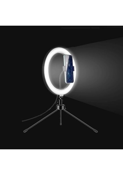 Youtuber Selfie LED Işıklı Masaüstü 10 Inç(26 Cm) Kuaför Makyaj Işığı Tiktok Işığı 9 Farklı Yanma Modu