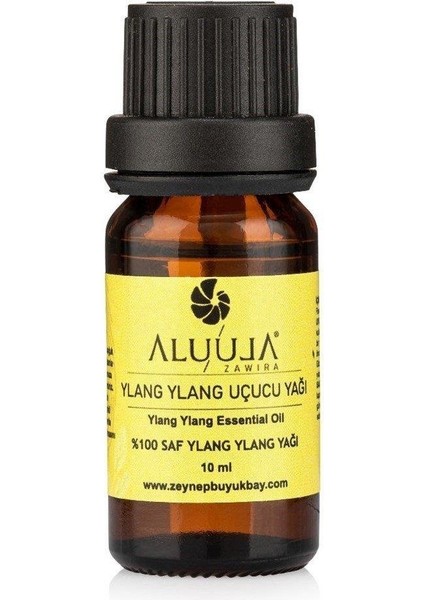 Ruhsal Denge: Çakra Taşları ve Aromaterapi Seti