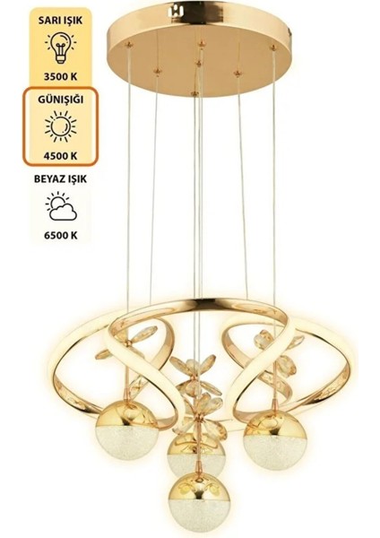 Lucas Dimmer Kumandalı 4 Toplu Gold Avize