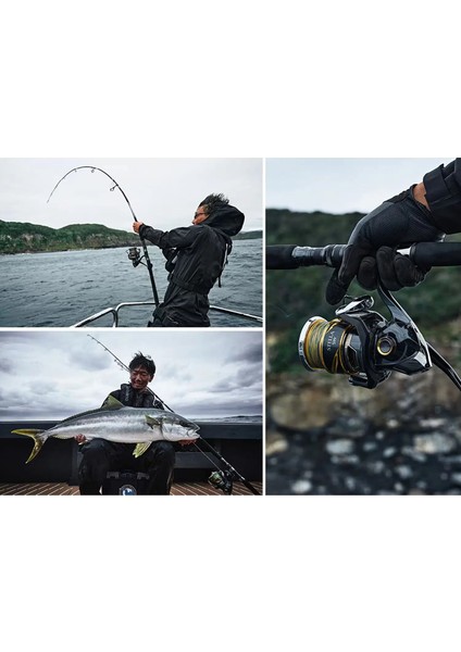 Stella D 8000PG Yeni Seri modelleri