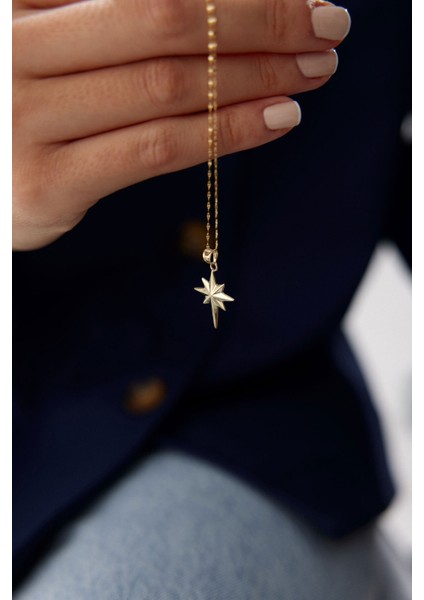 14 Ayar Altın Kuzey Yıldızı Kolye Ucu fiyatları