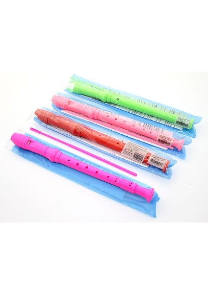 Renkli Plastik Flüt