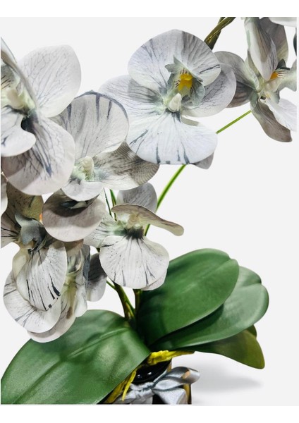 Cam Vazoda Gri Orkide Yapay Çiçek Aranjmanı (12X60 Cm) Modern Dekoratif Masaüstü fiyatları