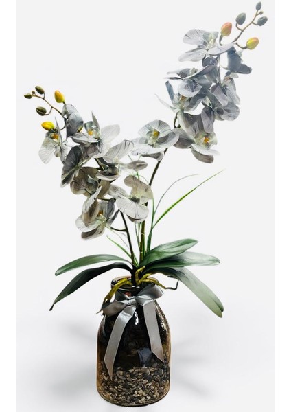 Cam Vazoda Gri Orkide Yapay Çiçek Aranjmanı (12X60 Cm) Modern Dekoratif Masaüstü fırsatları