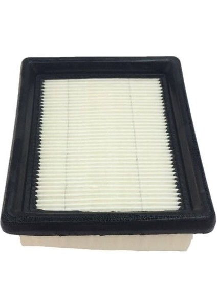 Bajaj Ns 200 Hava Filitre E.s