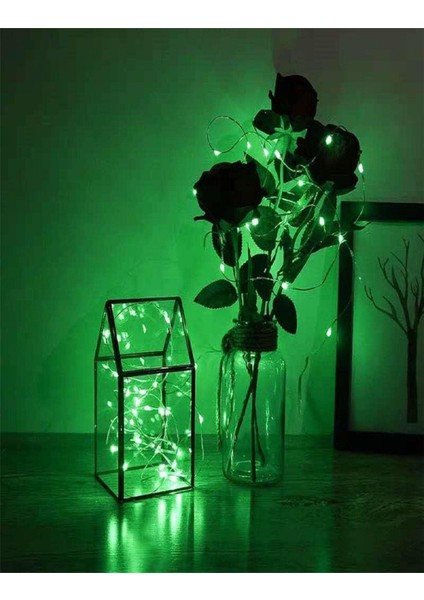 Ev Balkon ve Parti Için 3 Metre Pilli Yeşil Renk Peri LED Yılbaşı Süsü Işık indirimleri
