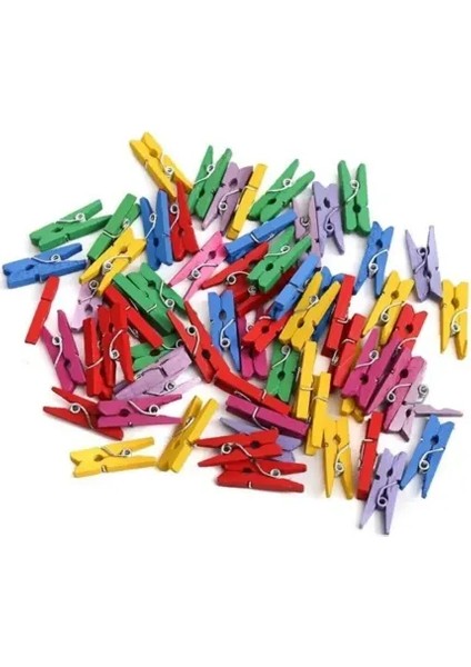 100'LÜ Renkli Ahşap Mandal Seti (2.5 Cm)