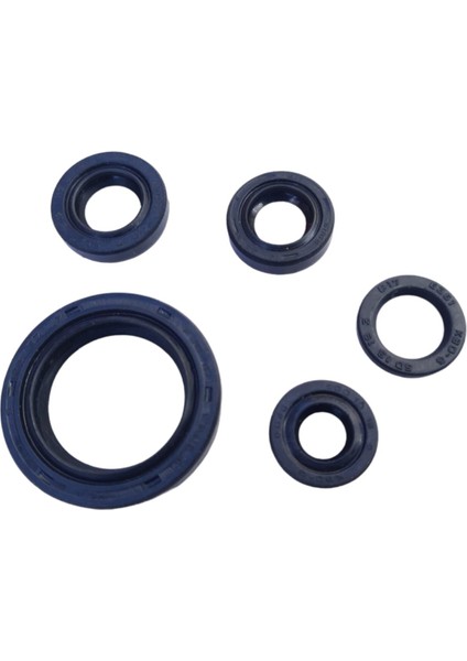 Bajaj Ns 200 Keçe Seti (Motor)