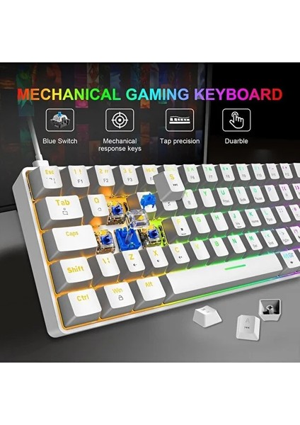 Blue Switch Mini Rgb Oyun Klavyesi Gaming Mekanik 62 Tuşlu 18 Rgb LED USB Type-C Kablo modelleri