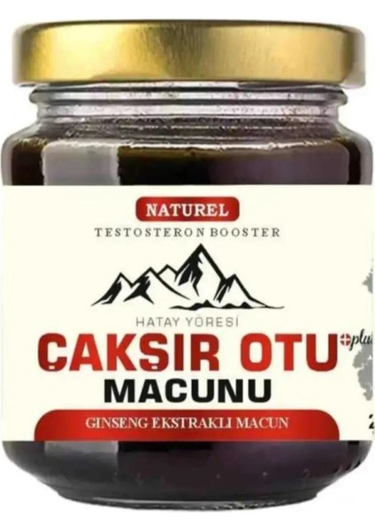 Hatay Çakşır Otu Erkeklere Özel Destekleyici 240 gr x 1 Ad. + Kayganlaştırıcı Jel fırsatları