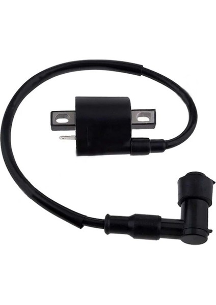 Ateşleme Bobin Cınm Cg