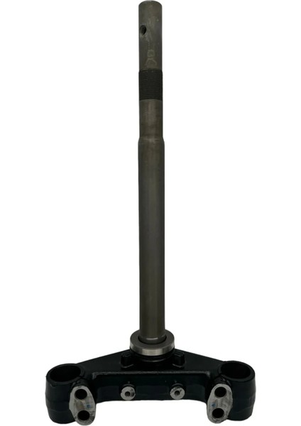 Honda Activa 125 Maşa Mesnet