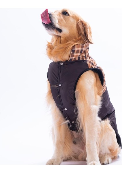 Kahverengi Elgin Paws Ekose Desen Yelek Büyük Irk Köpek Yeleği Köpek Kıyafeti Köpek Yağmurluk modelleri