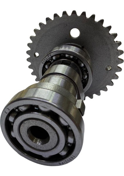 80CC Eksantirik Mili modelleri