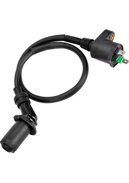 150CC 125CC Gy6 Bobin