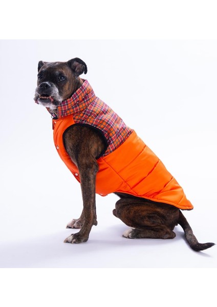 Turuncu Elgin Paws Ekose Desen Yelek Büyük Irk Köpek Yeleği Köpek Kıyafeti Köpek Yağmurluk indirimleri