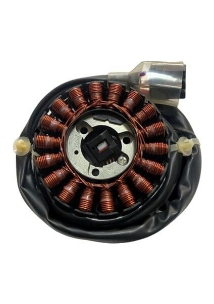 Honda Pcx Sarı Statör