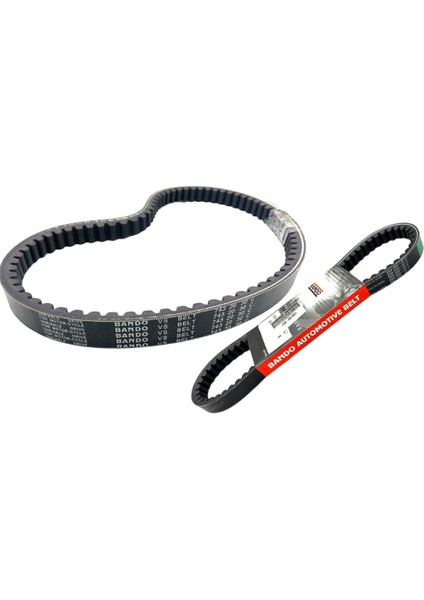 Actıva-S Fızy Alfa 743 Kayış S19-032