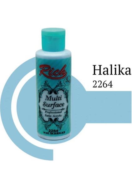 Rich Multi Surface 2264 Halikarnas Akrilik Boya 120 cc