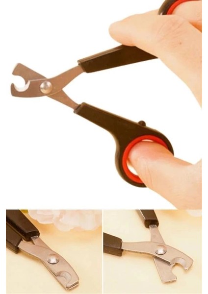 Evcil Hayvan Tırnak Makası ve Törpü Seti Manikür Pedikür Pati Bakım Aleti Kaymaz Sap