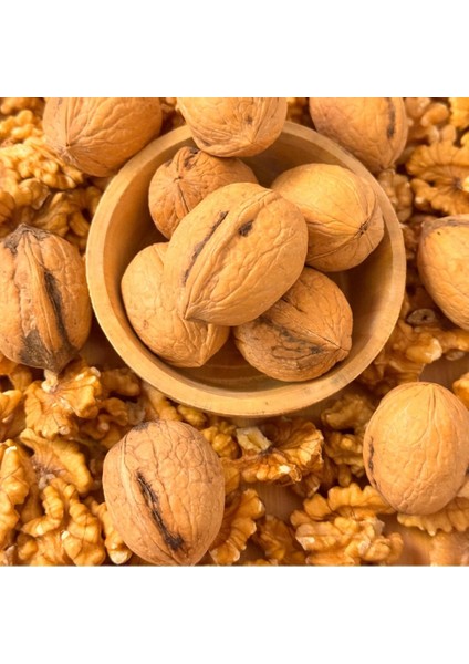 Kabuklu Ceviz 1000 gr (1 Kg) modelleri