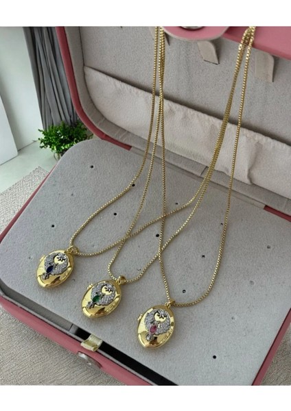 Ankakuşu Alya Kolyesi Gold Renkli Çelik Kapaklı Kolye fırsatları