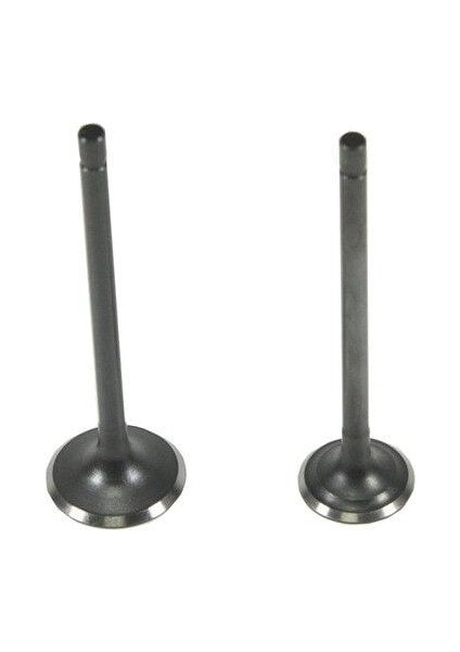 Honda Activa 125 Sibop